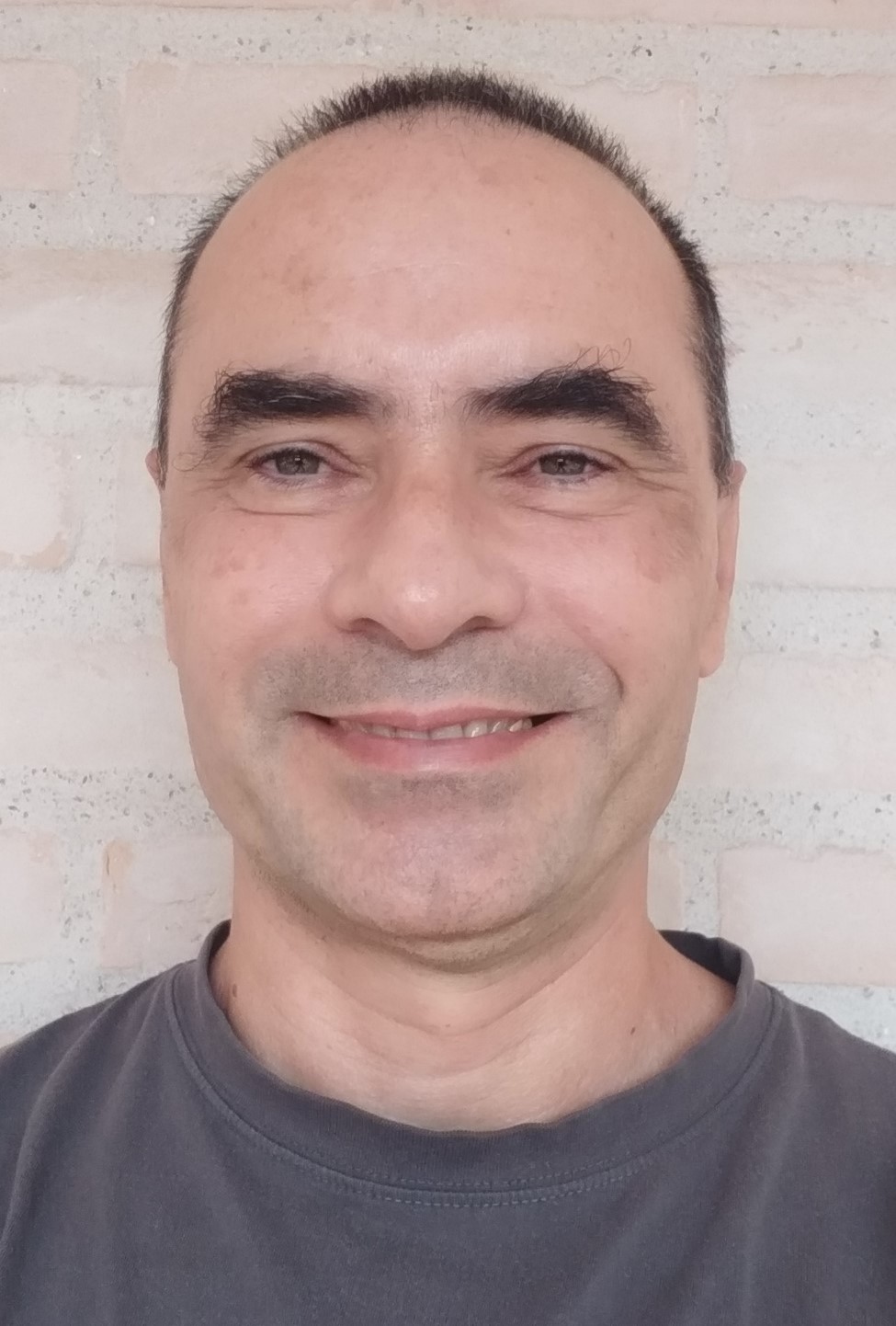 Prof. Dr. Alfredo Pereira de Queiroz